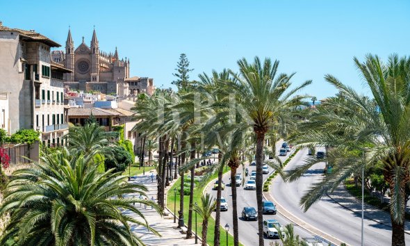 apartment - Gensalg - Palma -
                Santa Catalina