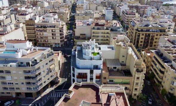 apartment - Gensalg - Torrevieja -
                Torrevieja