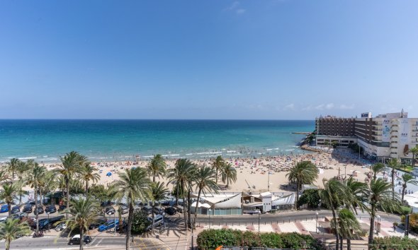 apartment - Resale - Alicante - - Centro  -