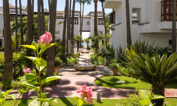 apartment - Resale - Marbella - Marbella