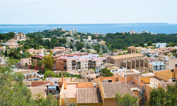 apartment - Reventa - Palma -
                Gènova