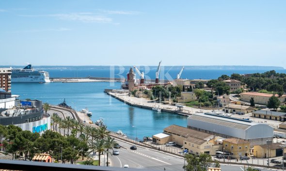 apartment - Reventa - Palma -
                La Bonanova