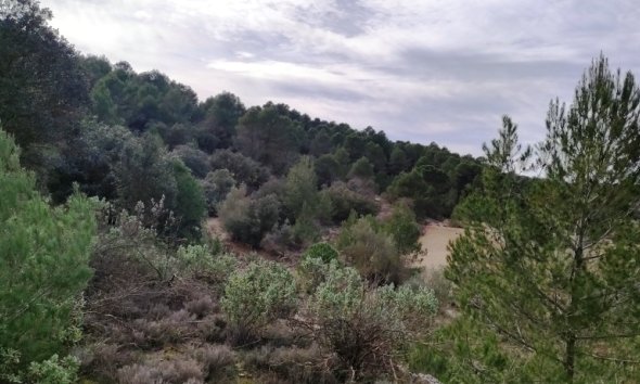 Country House - Gensalg - Bocairent - Bocairent
