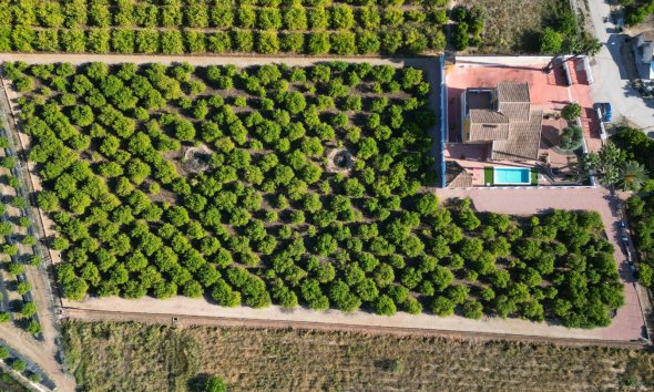 Country House - Gensalg - Orihuela - Orihuela
