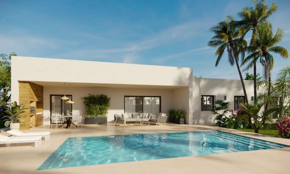 detached - Obra nueva - Aspe - Aspe