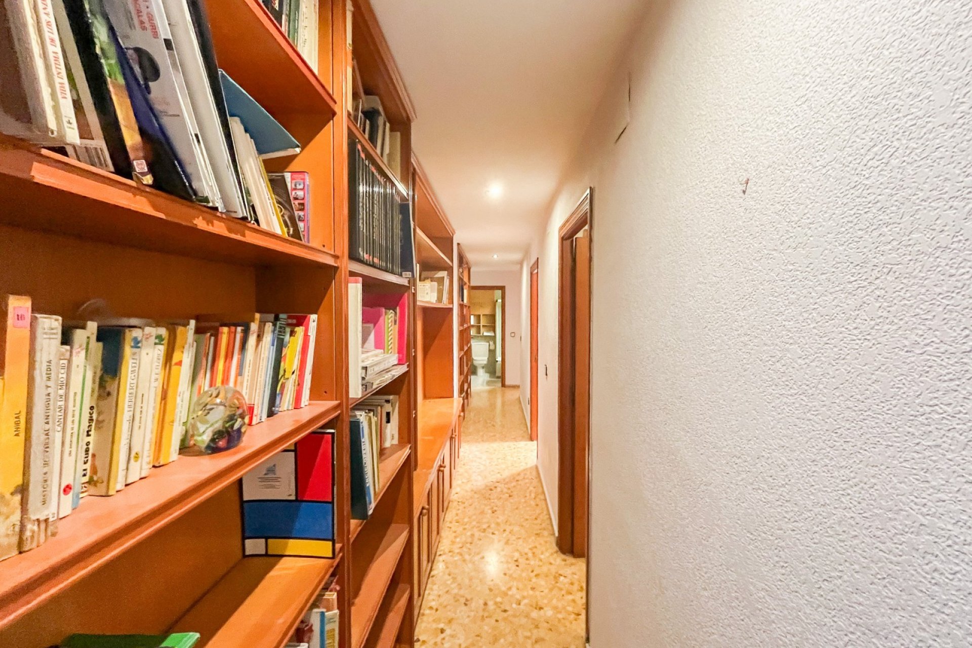 Gensalg - apartment -
Alicante - Center