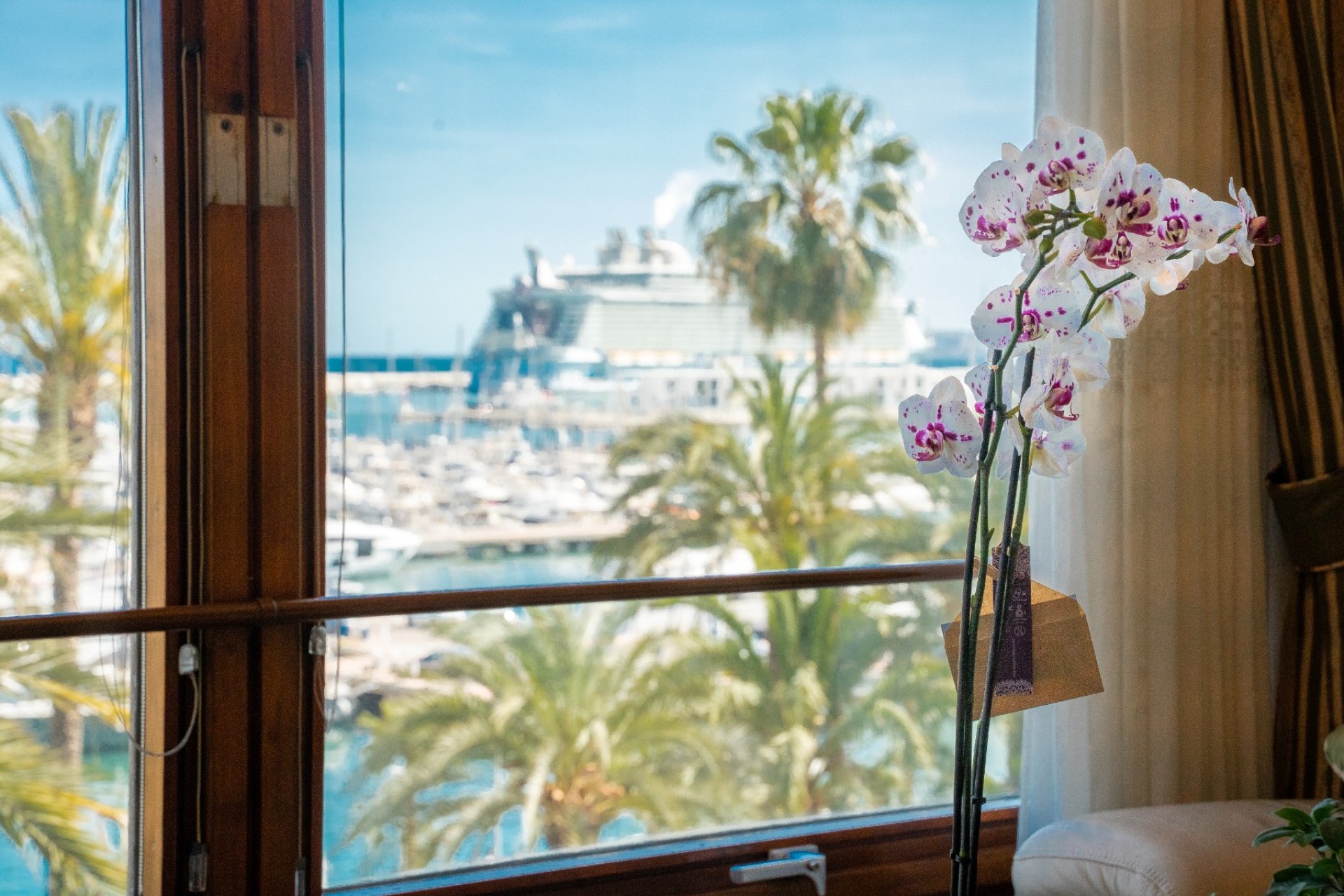 Gensalg - apartment -
Alicante - - Centro  -