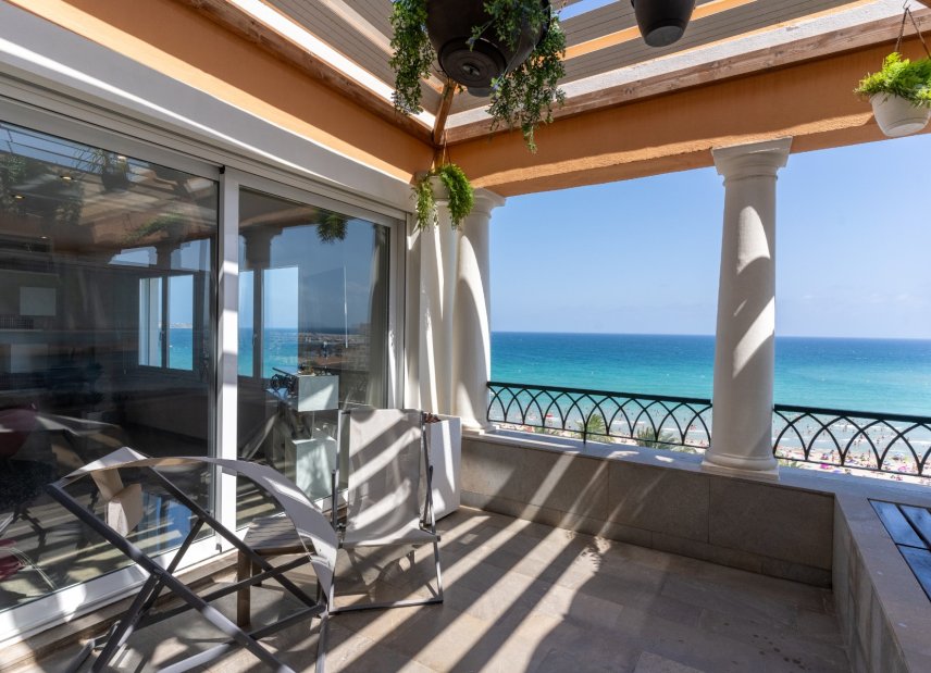 Gensalg - apartment -
Alicante - - Centro  -