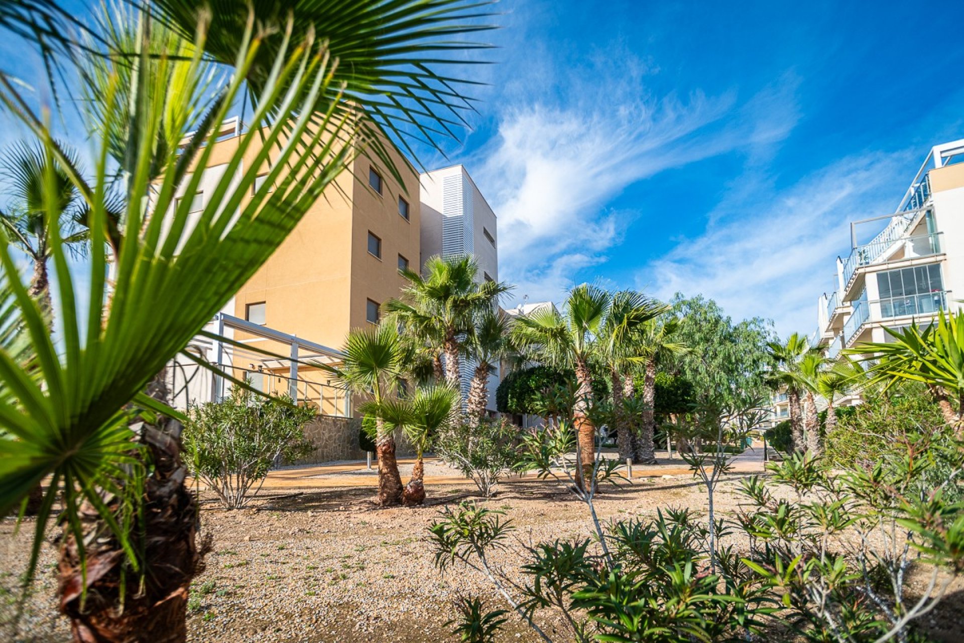 Gensalg - apartment -
Orihuela Costa - Los Dolses