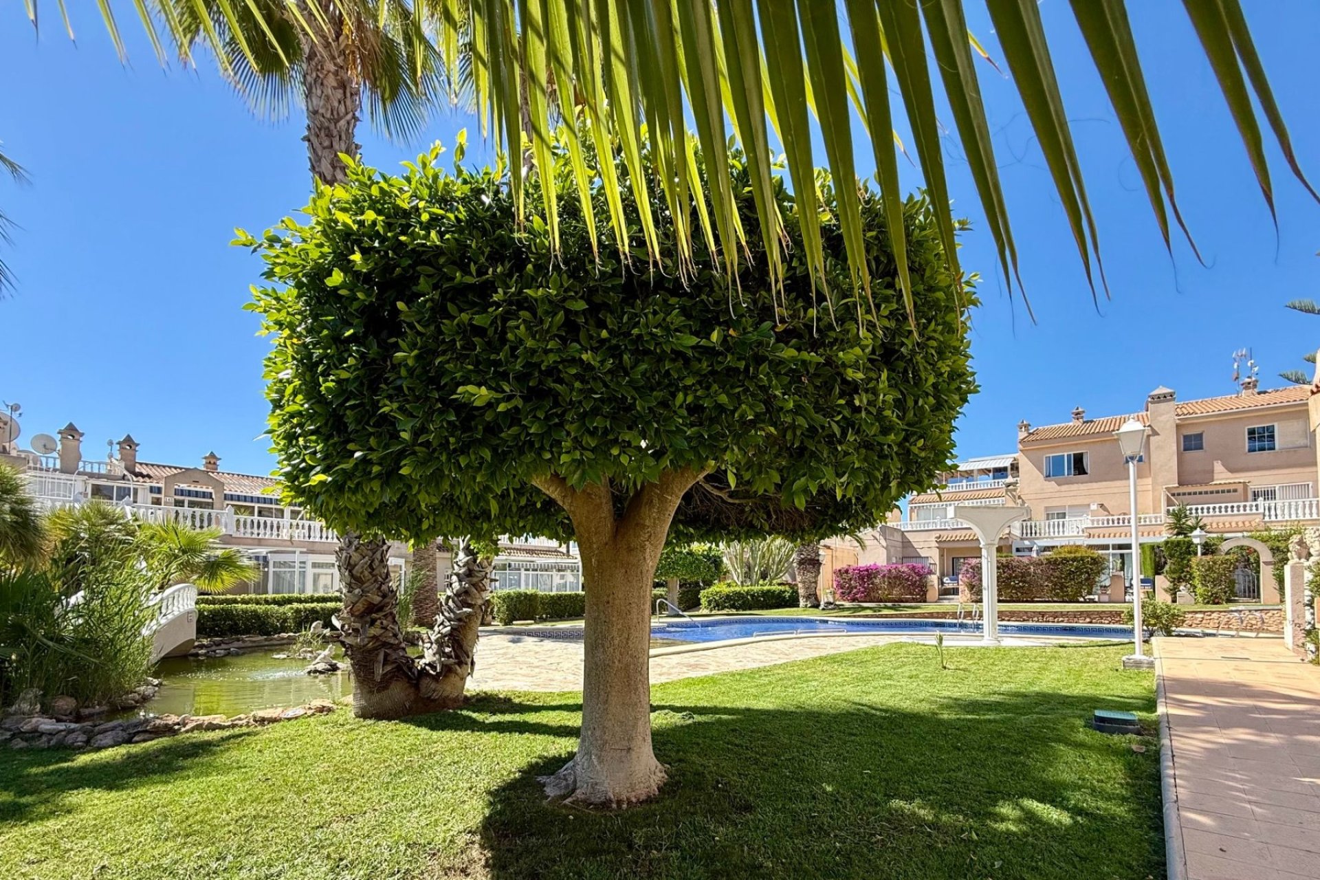 Gensalg - apartment -
Orihuela Costa - Playa Flamenca