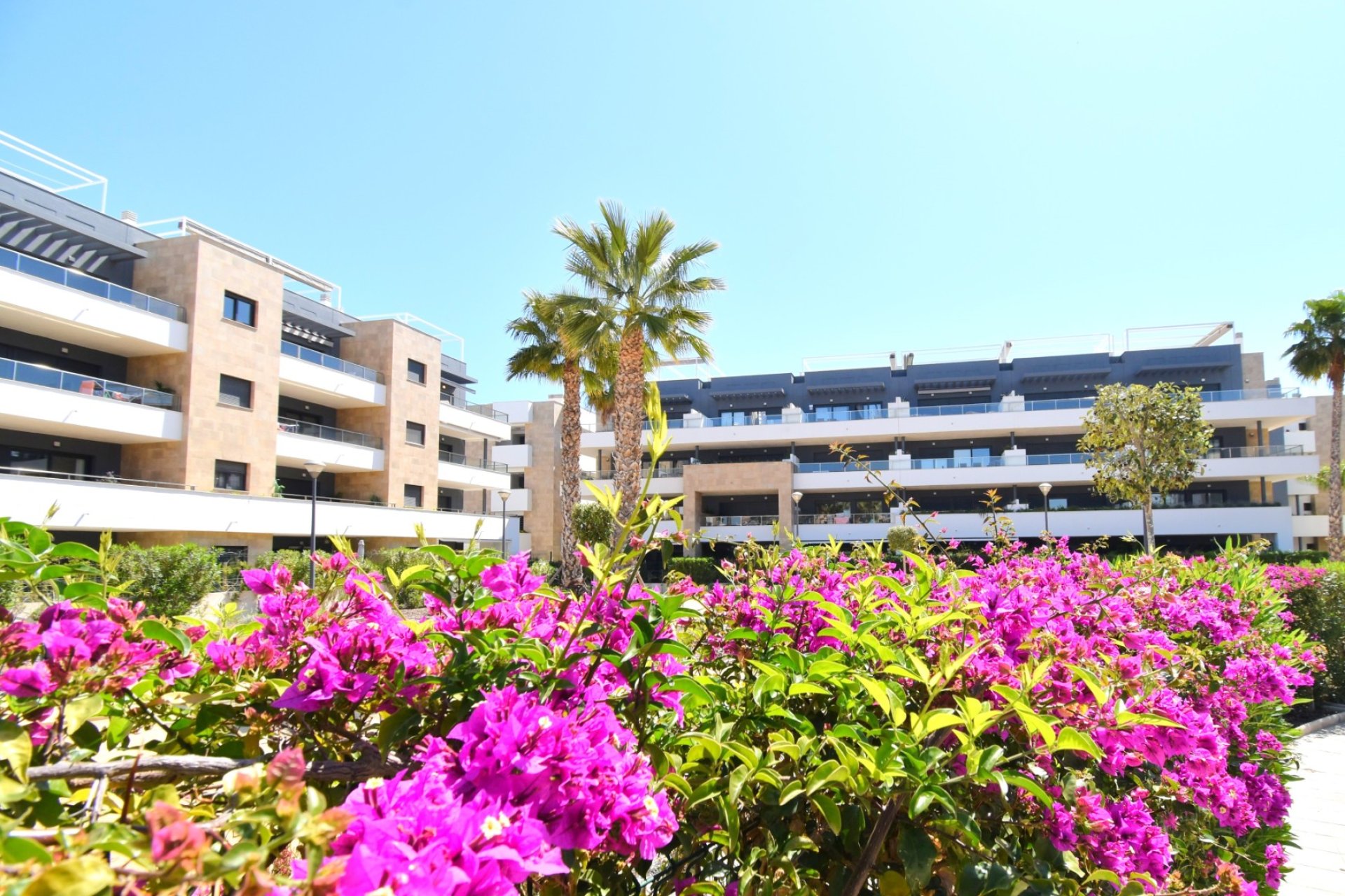 Gensalg - apartment -
Orihuela Costa - Playa Flamenca