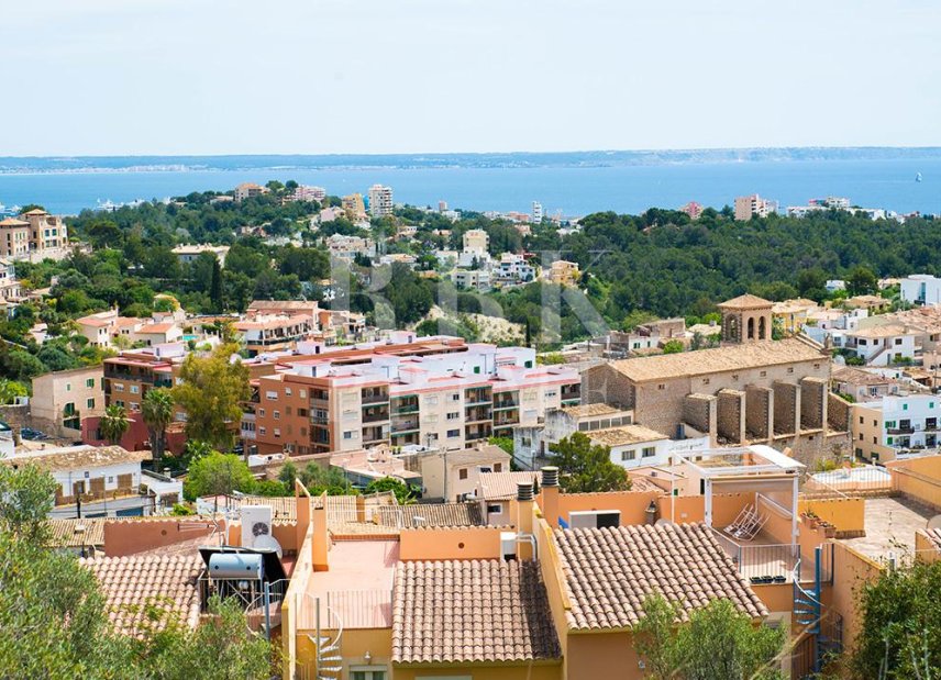Gensalg - apartment -
Palma - Gènova