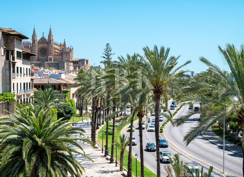 Gensalg - apartment -
Palma - Santa Catalina