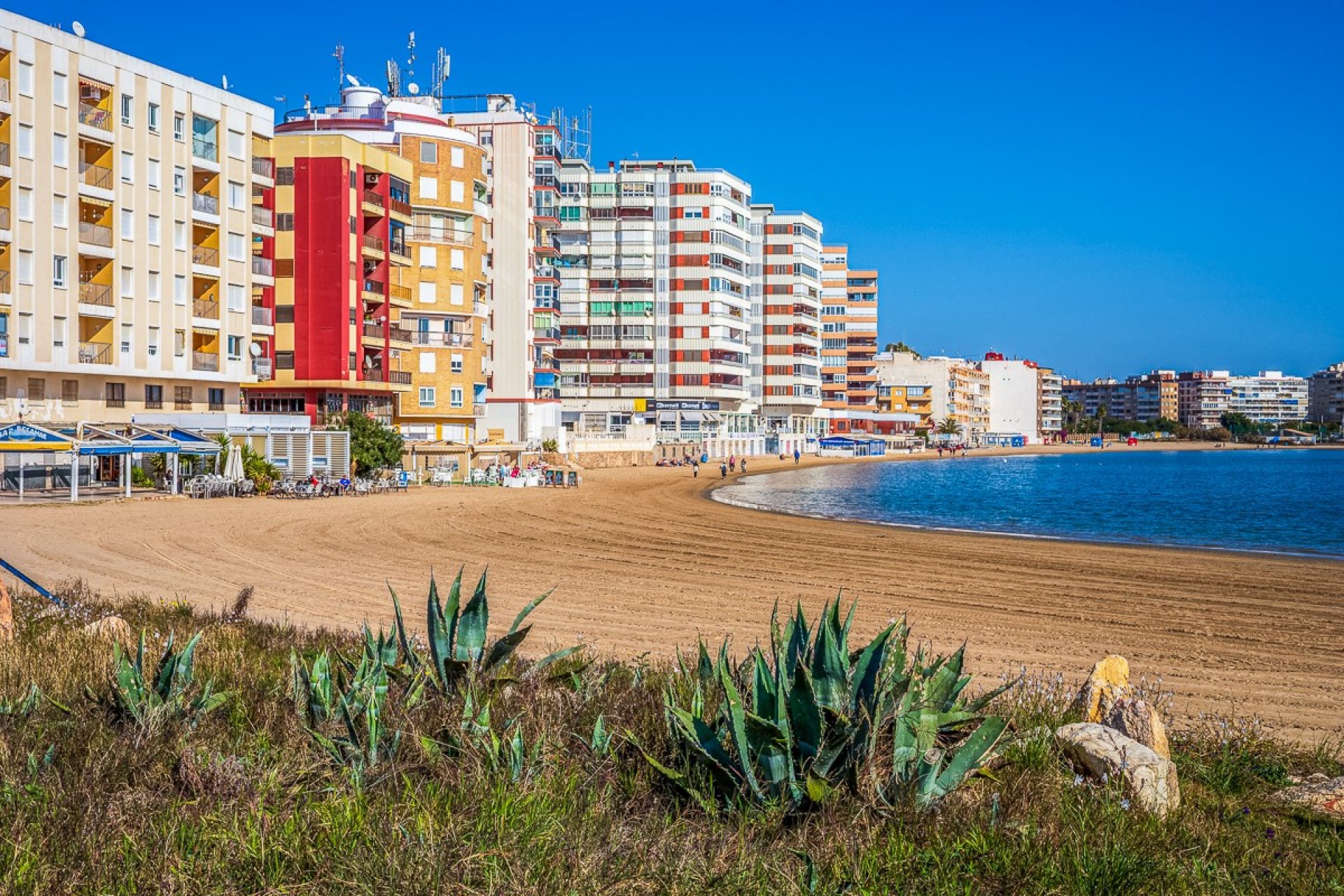 Gensalg - apartment -
Torrevieja - Acequion