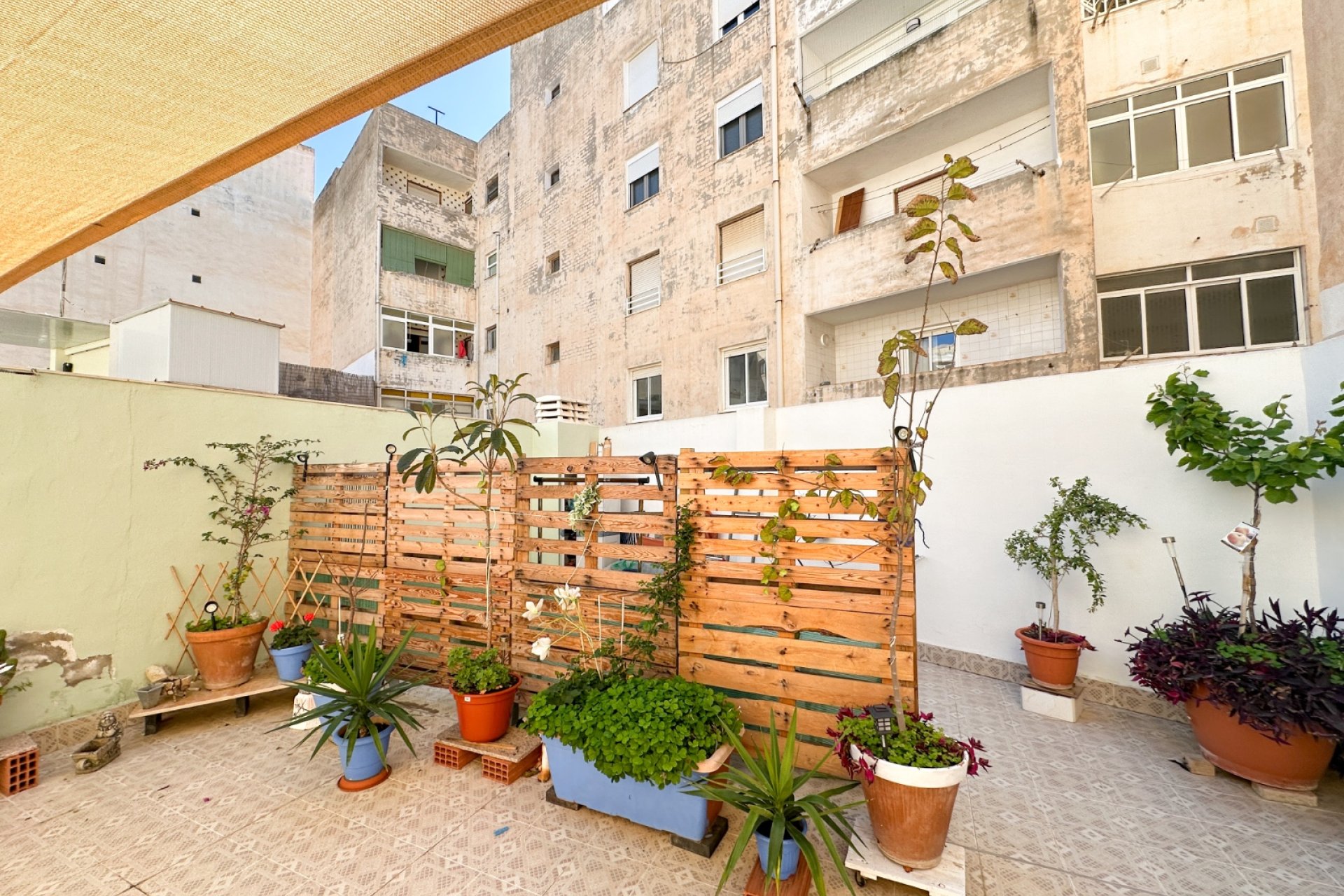 Gensalg - apartment -
Torrevieja - Center
