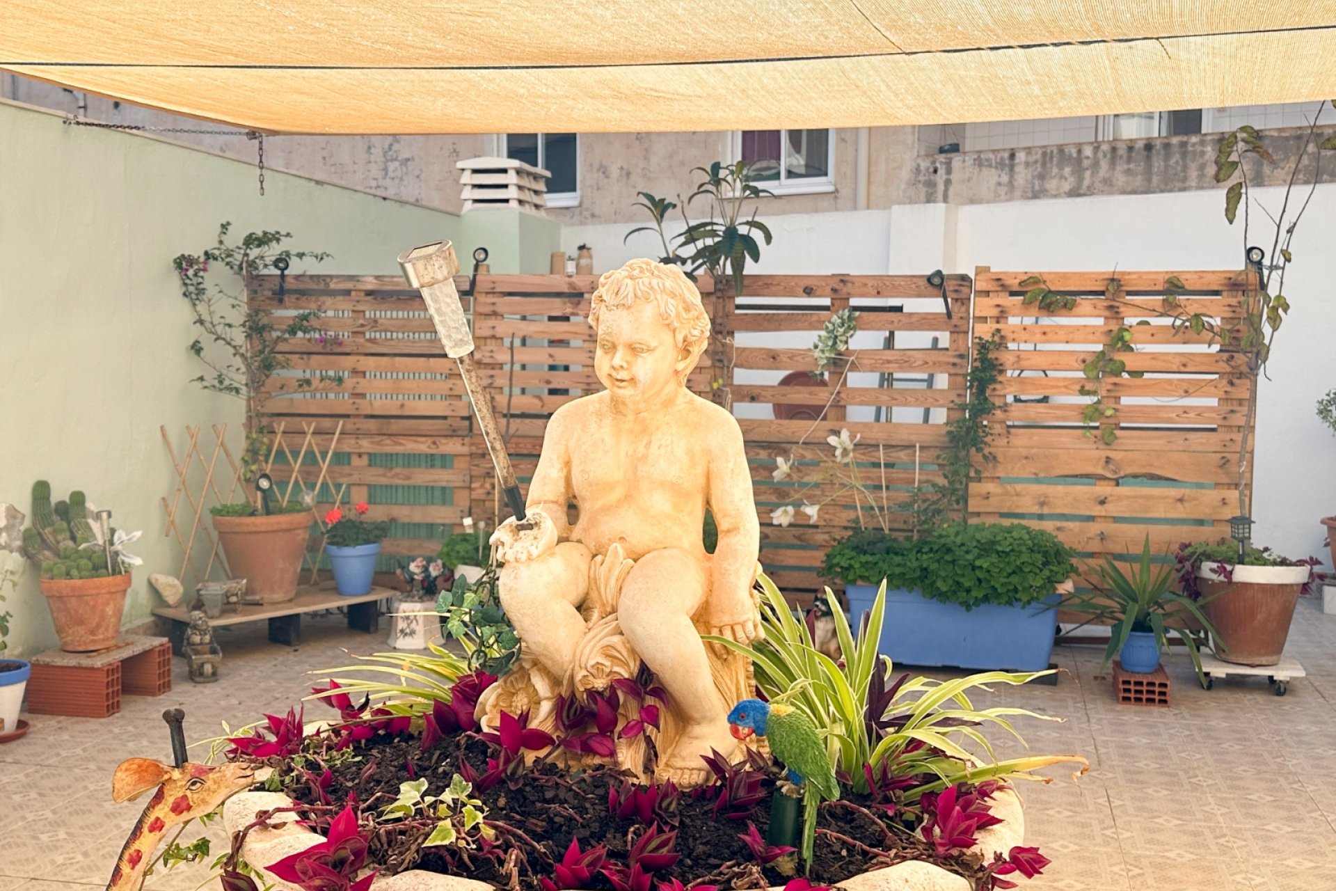 Gensalg - apartment -
Torrevieja - Center