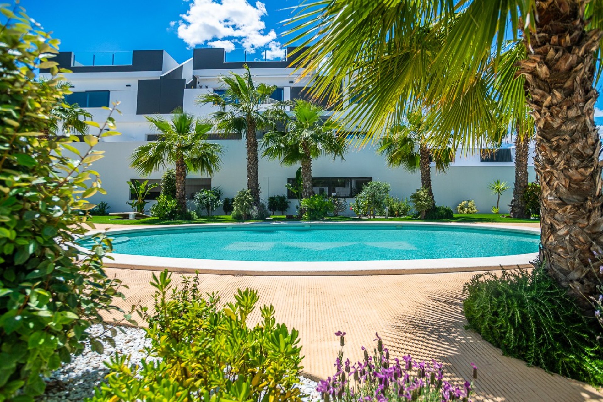 Gensalg - apartment -
Torrevieja - LOS BALCONES - LOS ALTOS