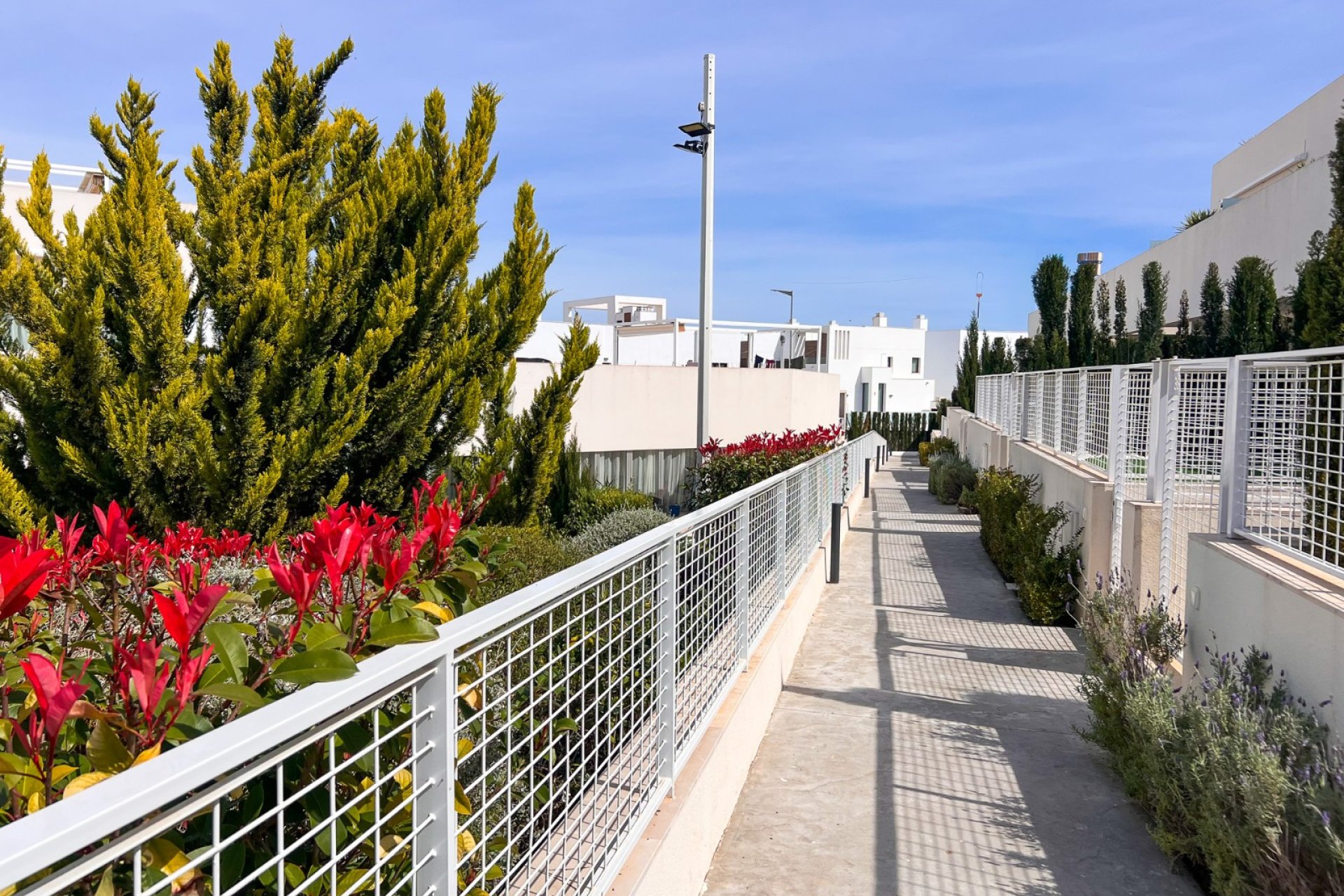 Gensalg - apartment -
Torrevieja - Los Balcones