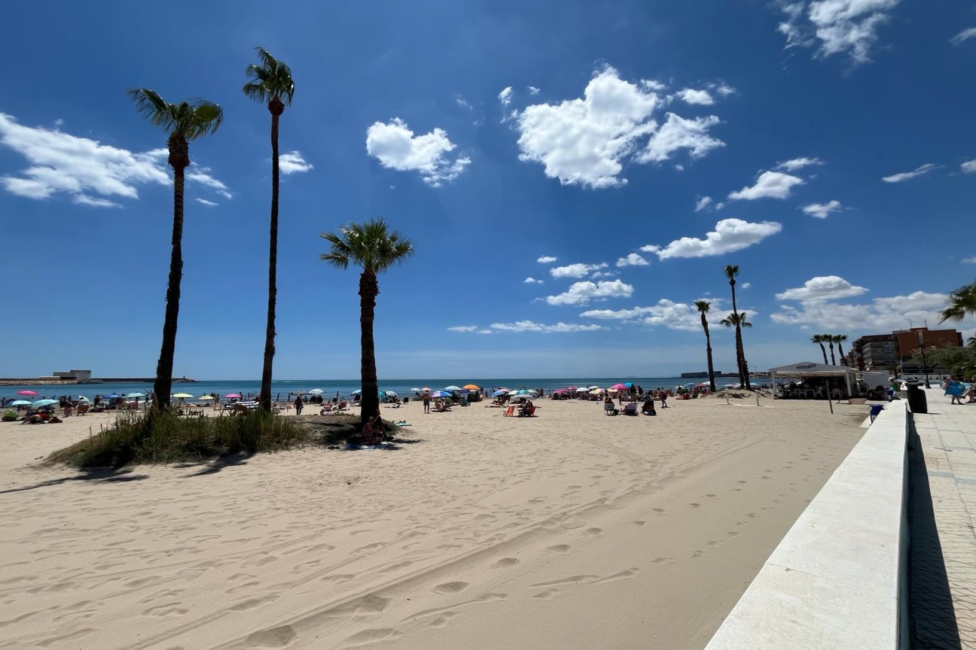 Gensalg - apartment -
Torrevieja