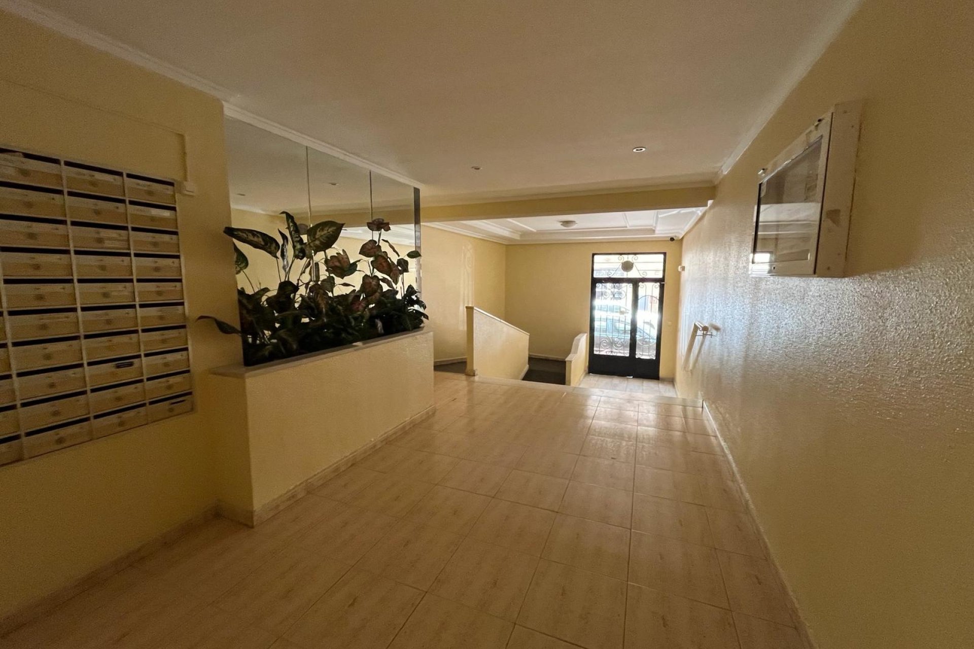 Gensalg - apartment -
Torrevieja
