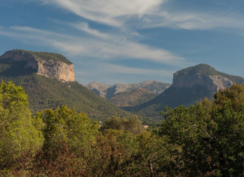 Gensalg - Country House -
Alaró - Alaró rural