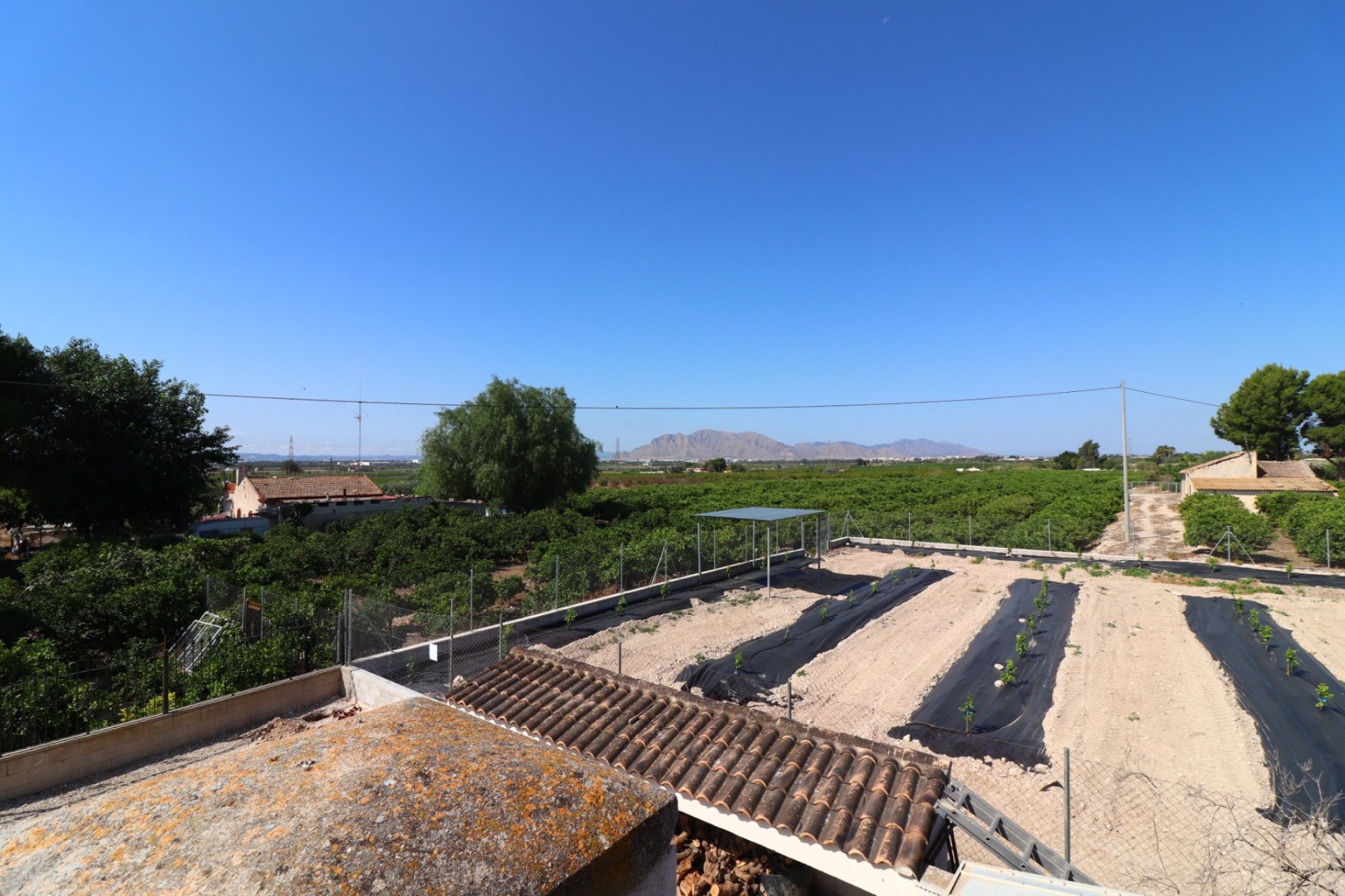 Gensalg - Country House -
Albatera - Albatera - Country