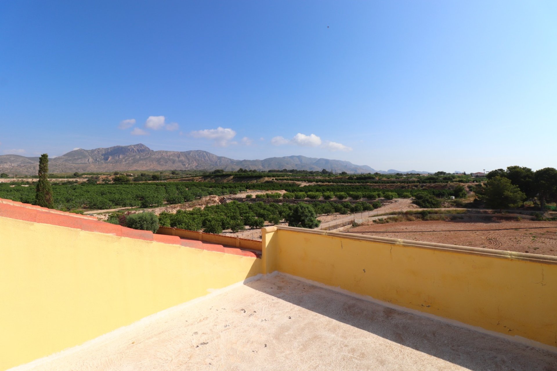 Gensalg - Country House -
Albatera - Albatera - Country