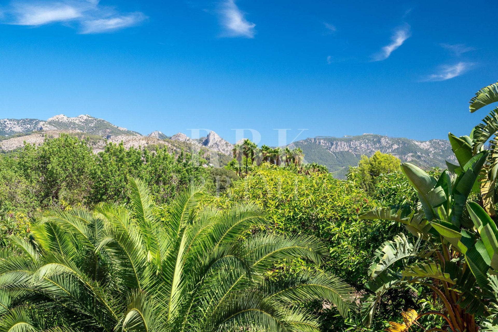 Gensalg - Country House -
Palma - Palma rural