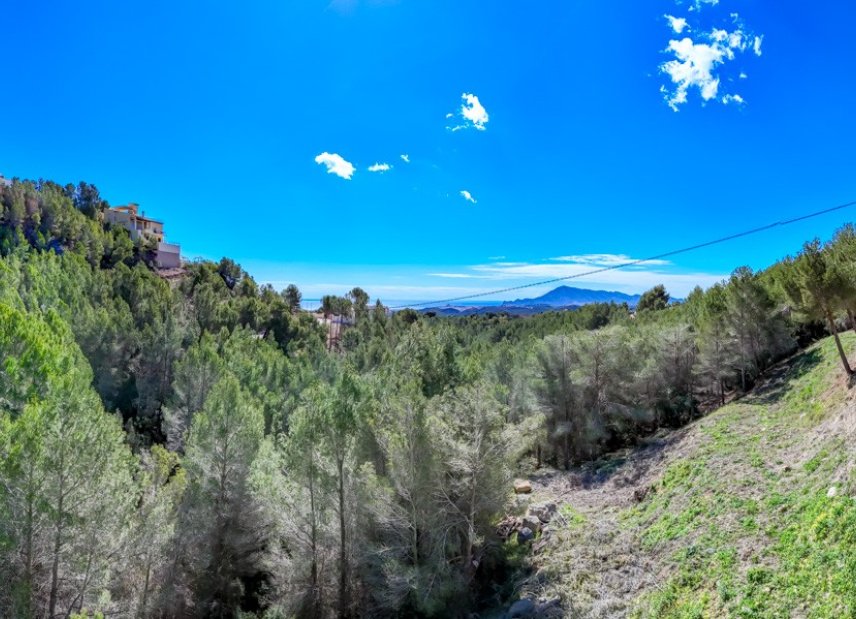 Gensalg - Land -
Altea - Sierra de Altea