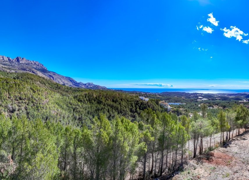 Gensalg - Land -
Altea - Sierra de Altea
