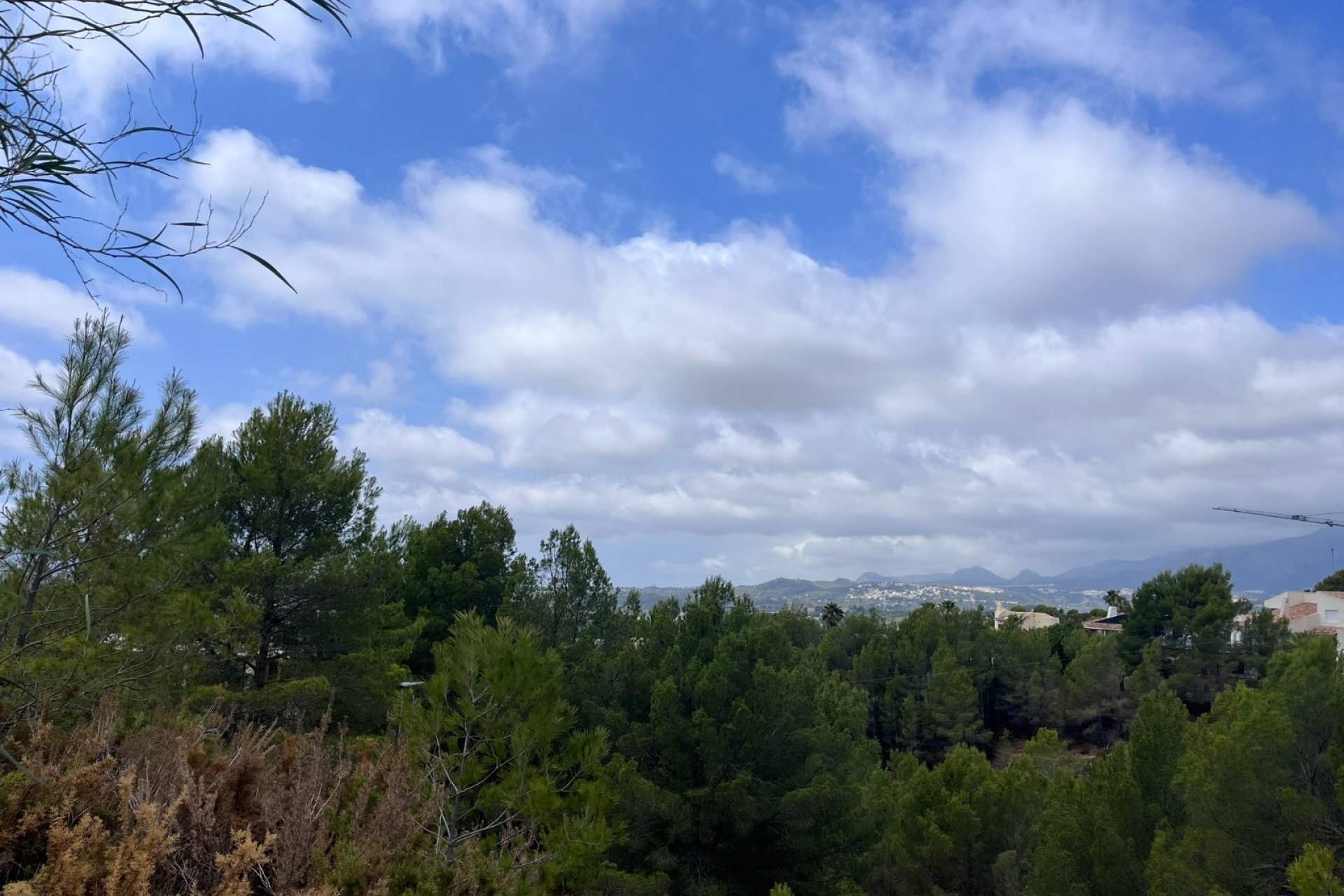 Gensalg - Land -
Altea - Sierra de Altea