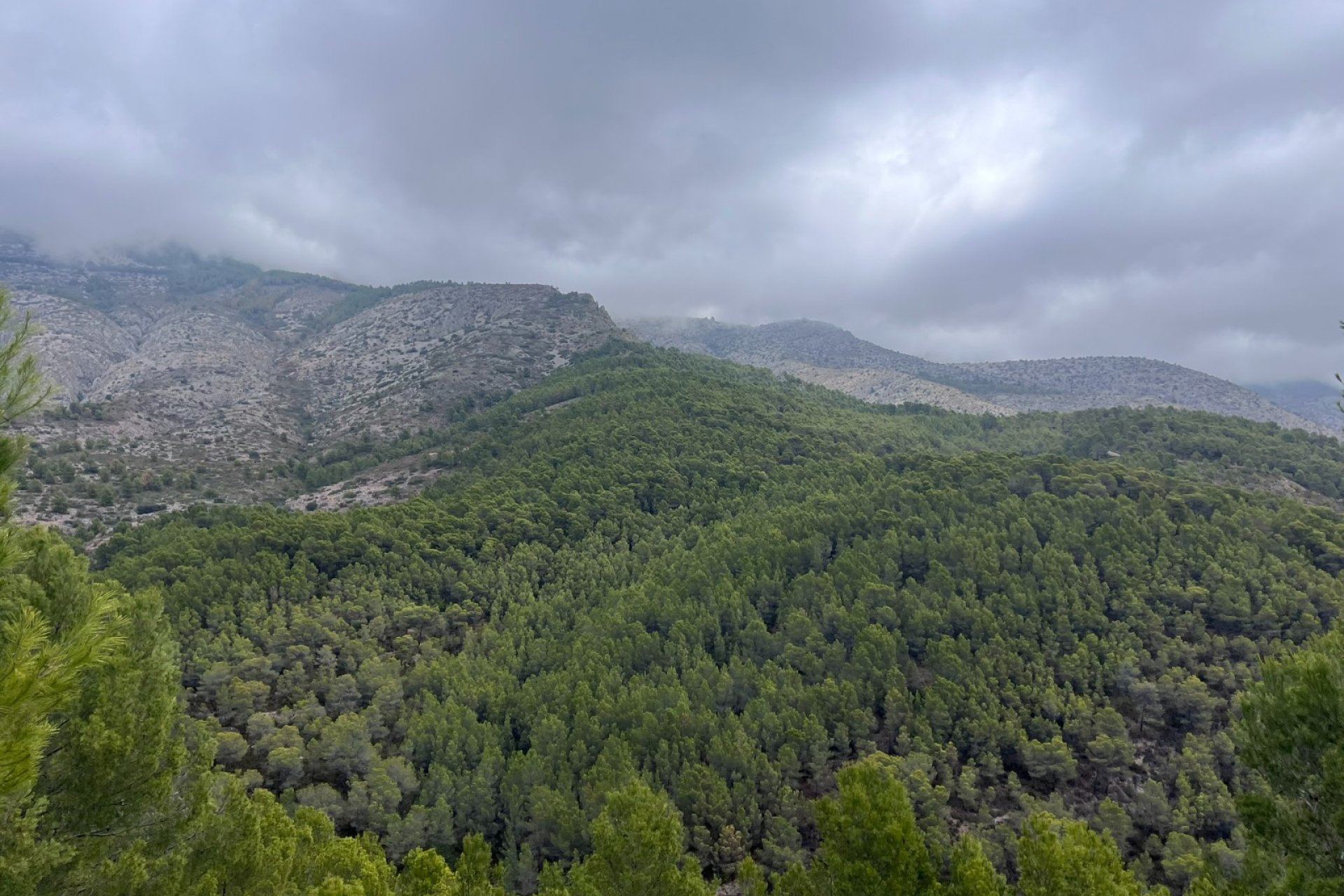 Gensalg - Land -
Altea - Sierra de Altea