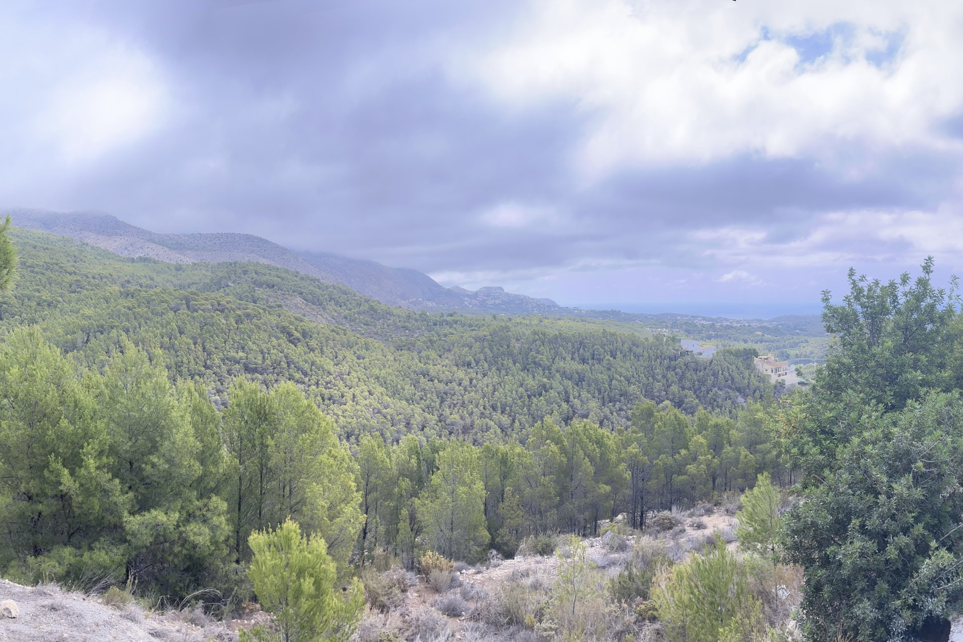 Gensalg - Land -
Altea - Sierra de Altea