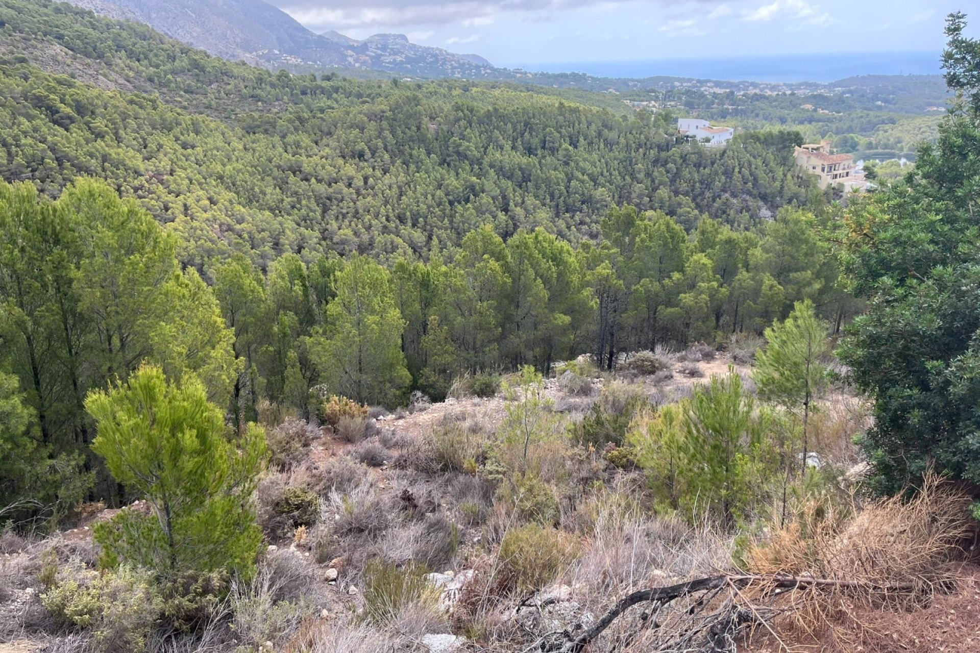 Gensalg - Land -
Altea - Sierra de Altea