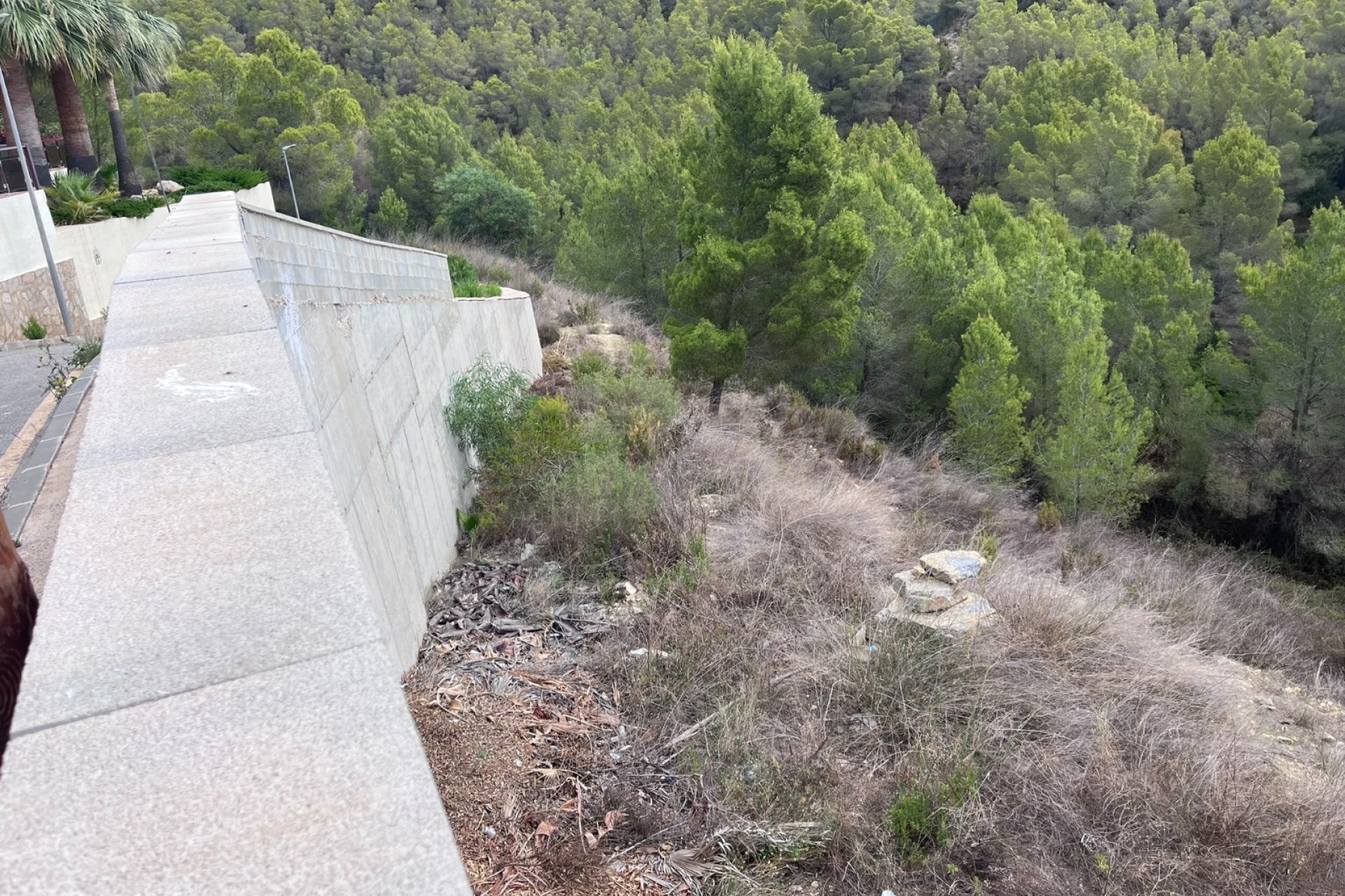 Gensalg - Land -
Altea - Sierra de Altea