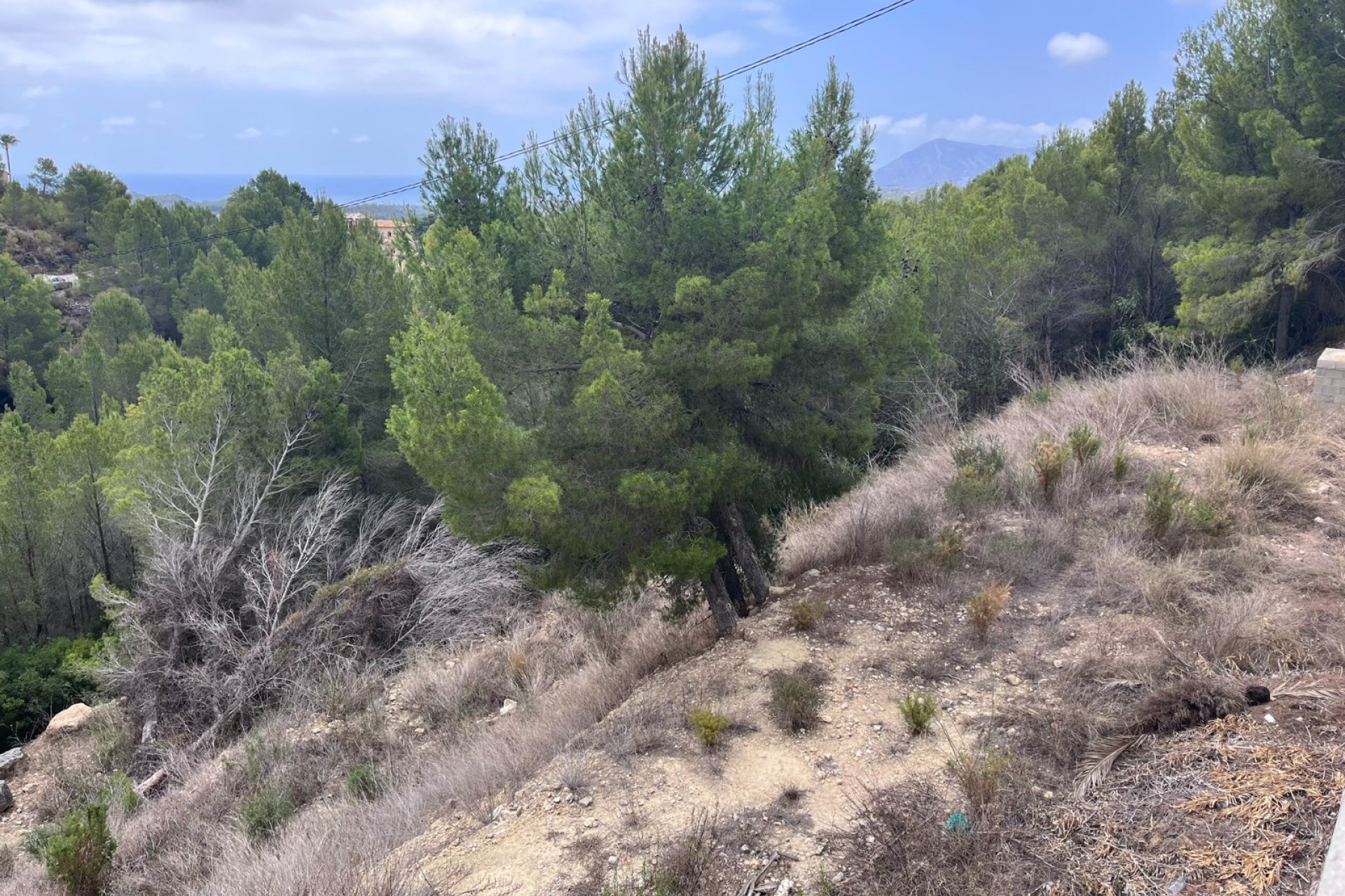 Gensalg - Land -
Altea - Sierra de Altea