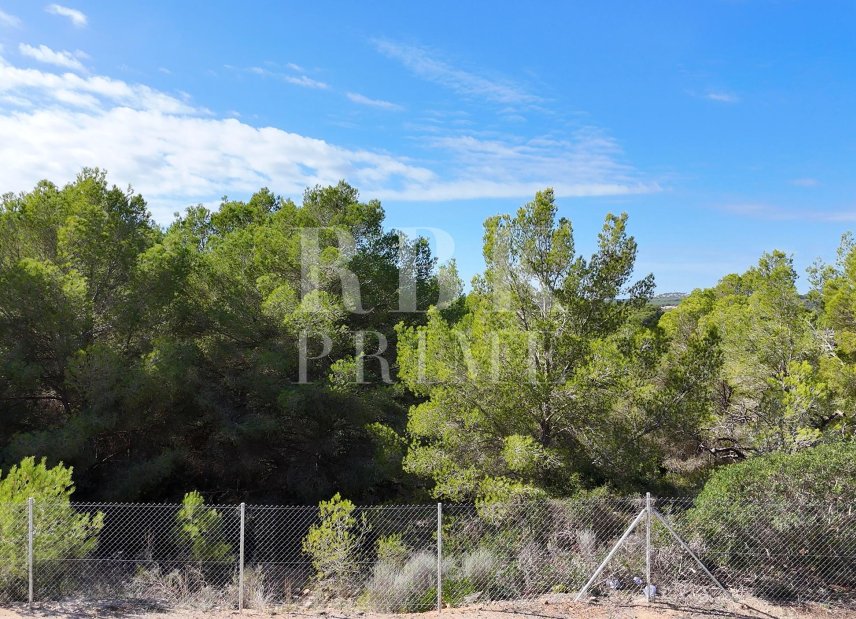 Gensalg - Land -
Calvià - Cala Vinyes