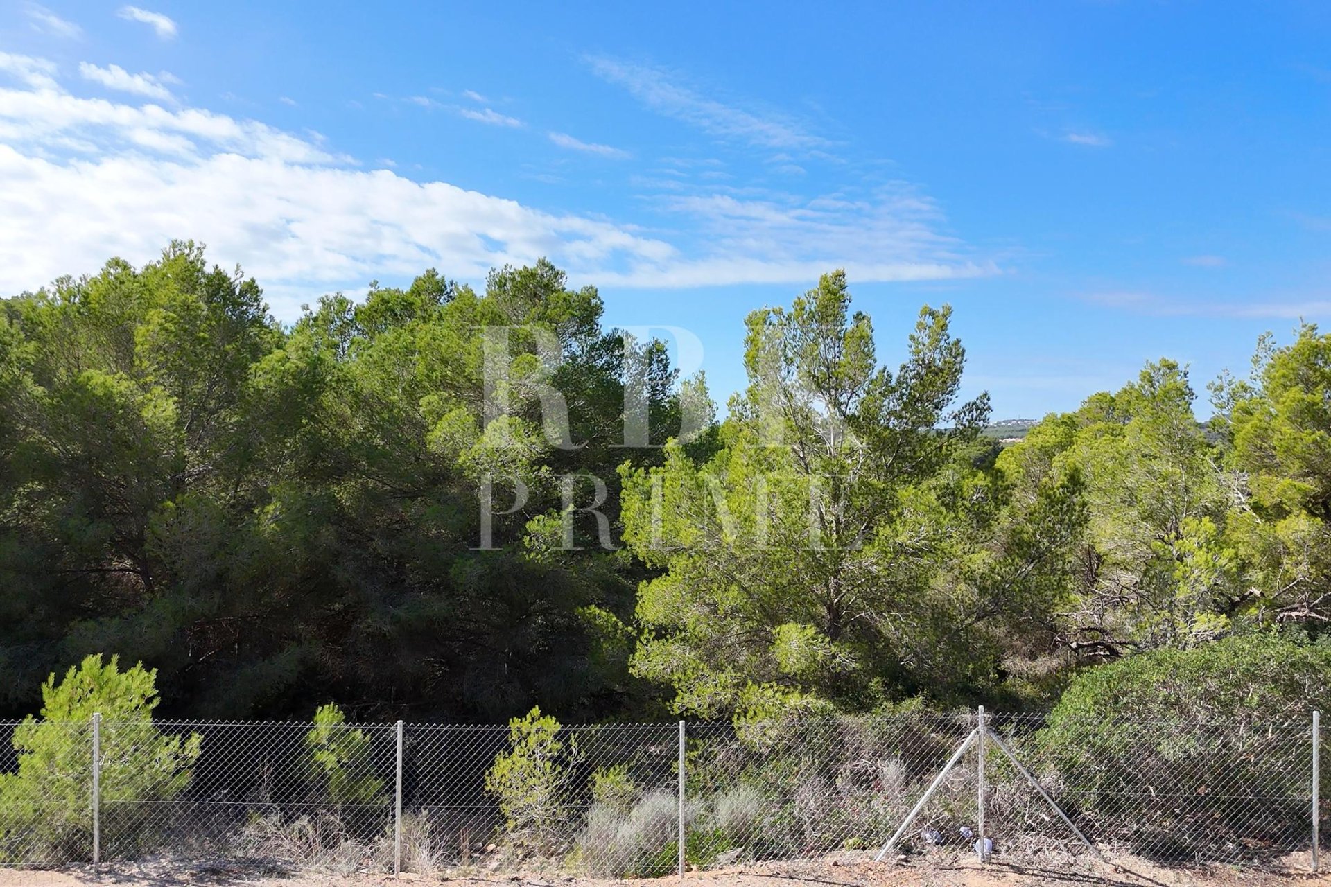 Gensalg - Land -
Calvià - Cala Vinyes