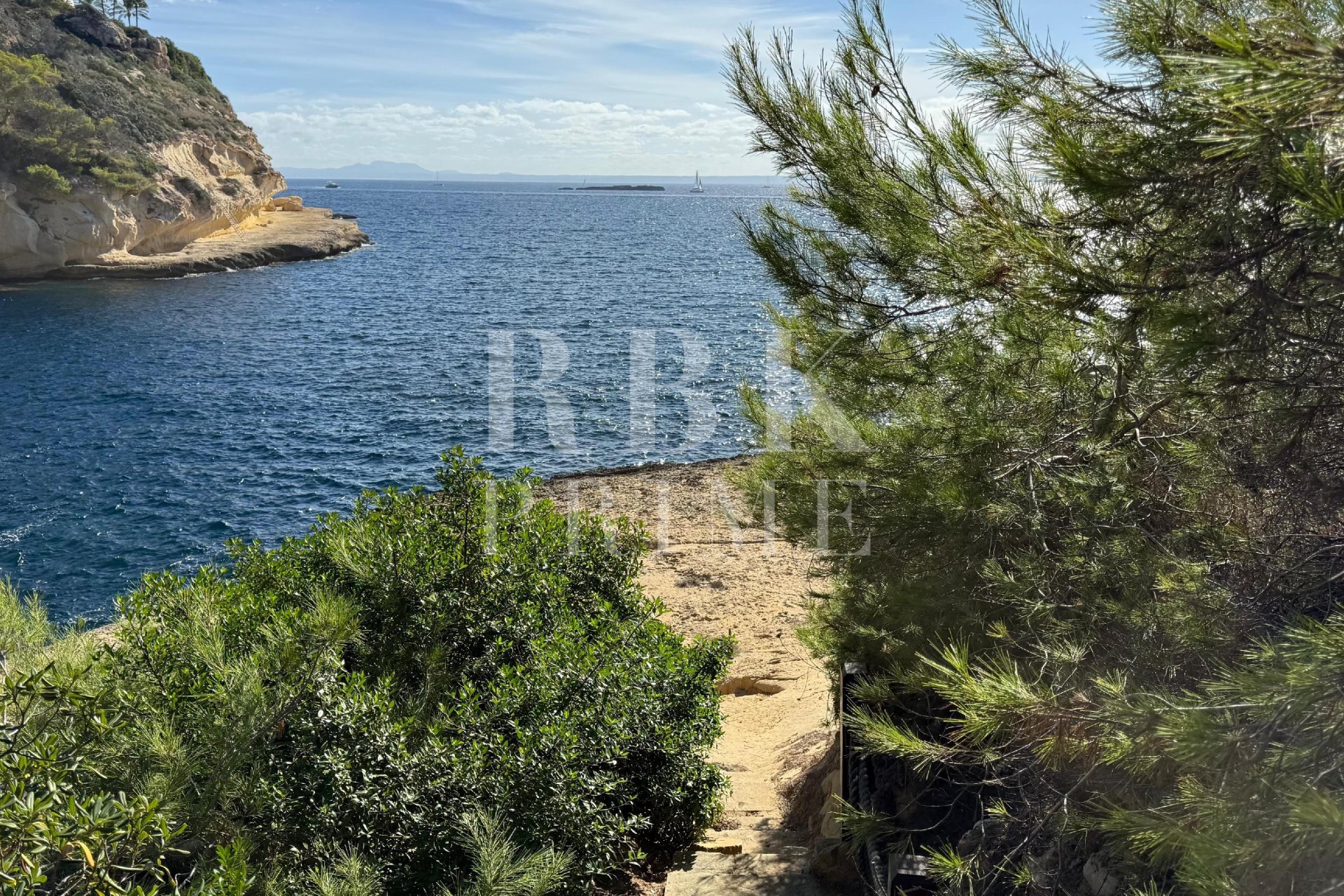 Gensalg - Land -
Calvià - Sol de Mallorca
