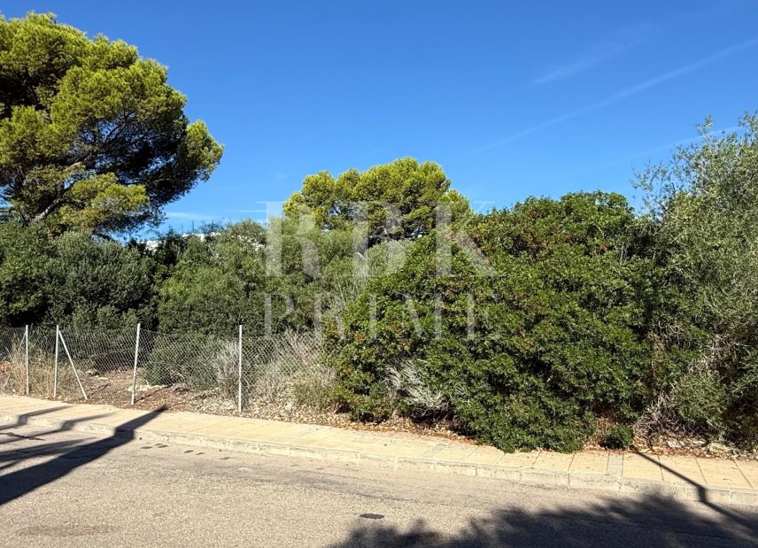 Gensalg - Land -
Calvià - Sol de Mallorca