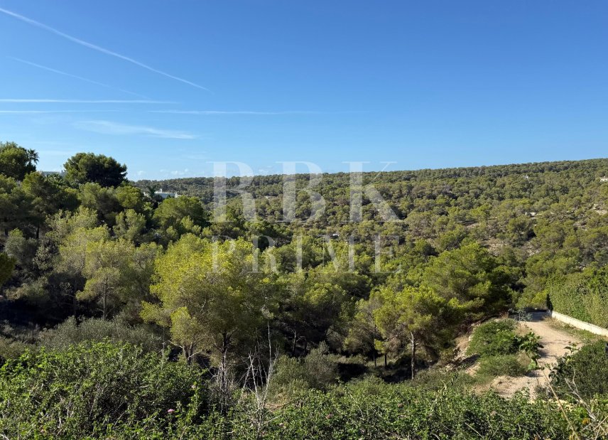 Gensalg - Land -
Calvià - Sol de Mallorca