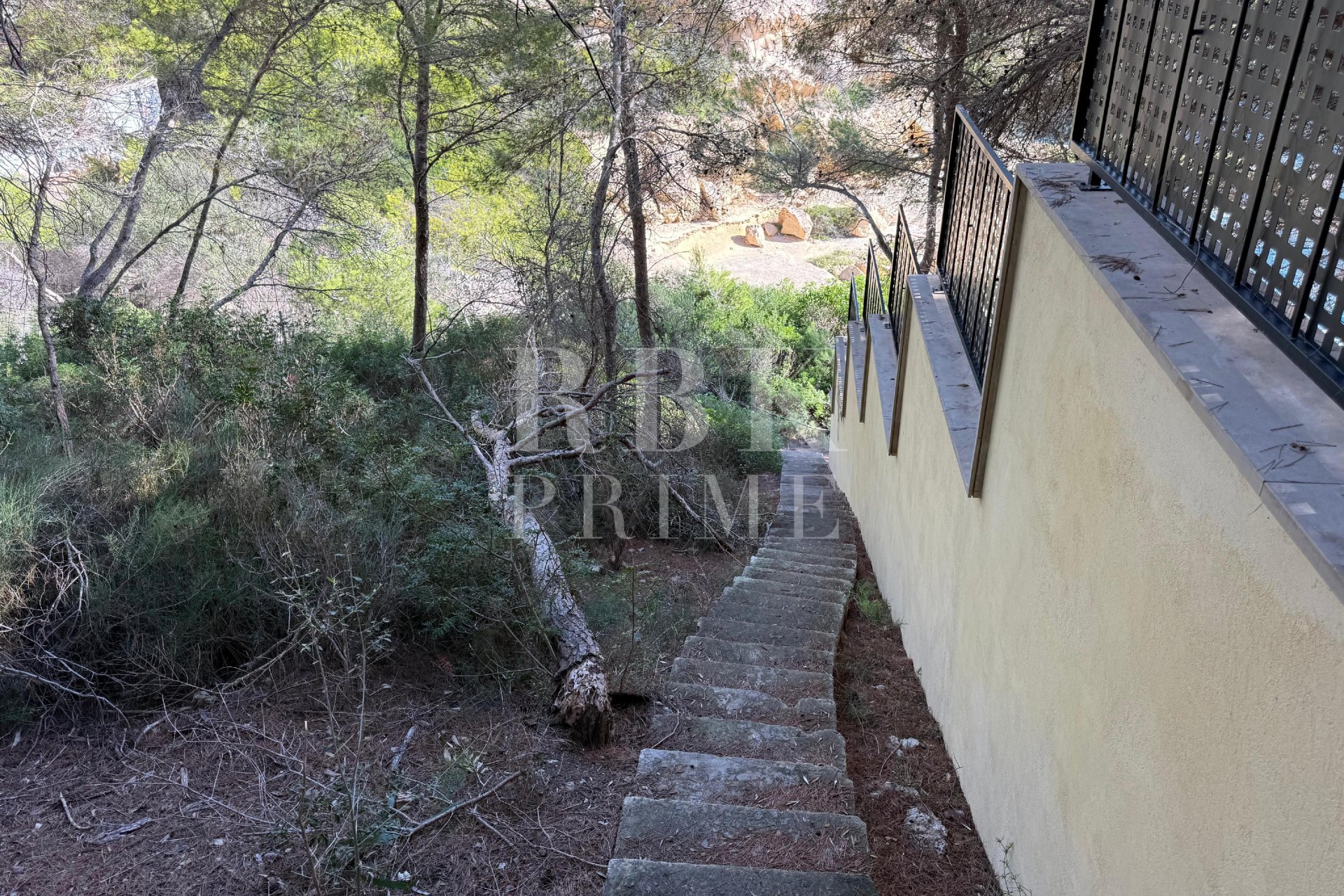 Gensalg - Land -
Calvià - Sol de Mallorca