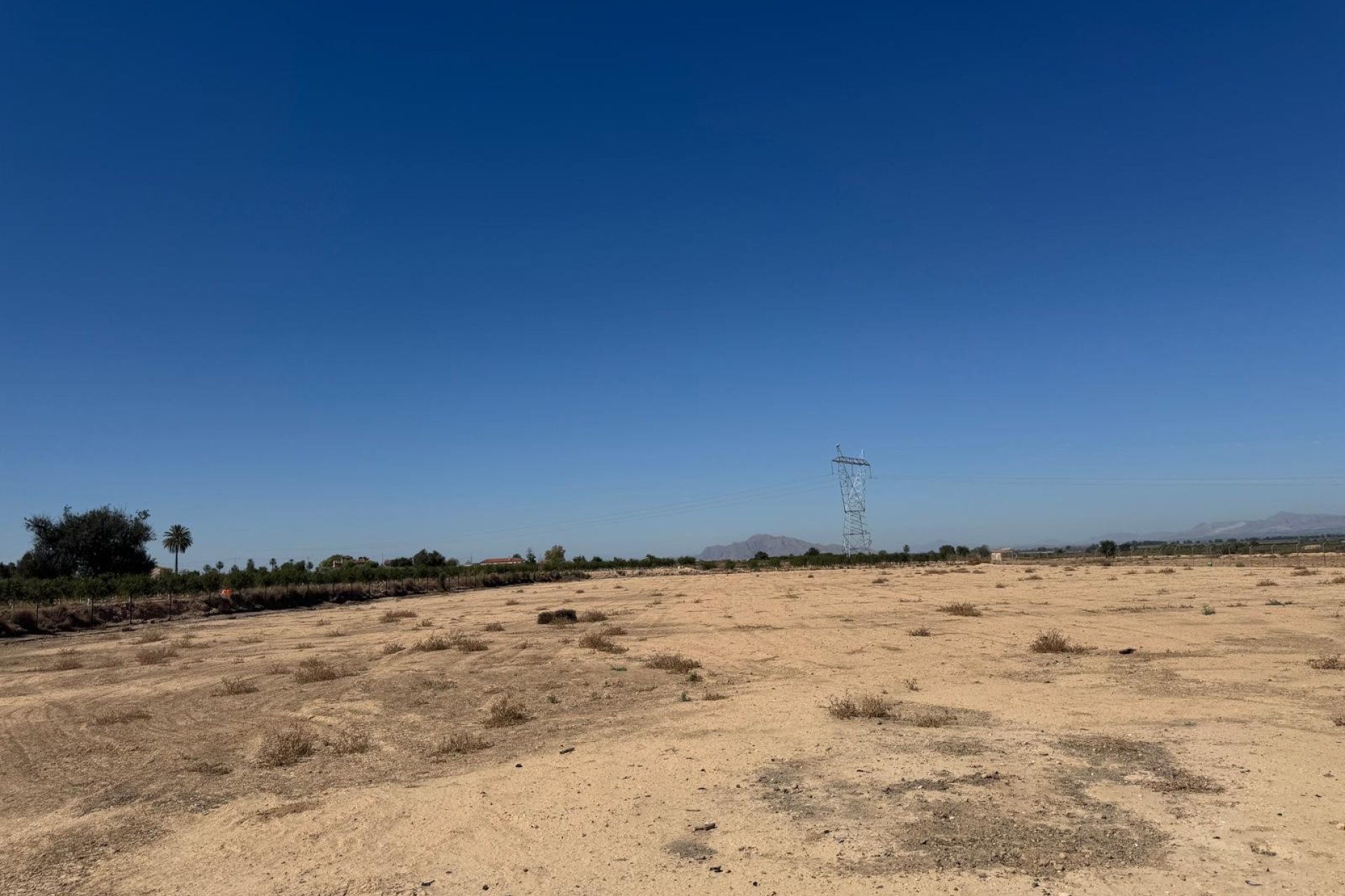 Gensalg - Land -
Elche - La Marina