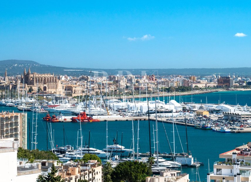 Gensalg - Palace -
Palma - El Terreno