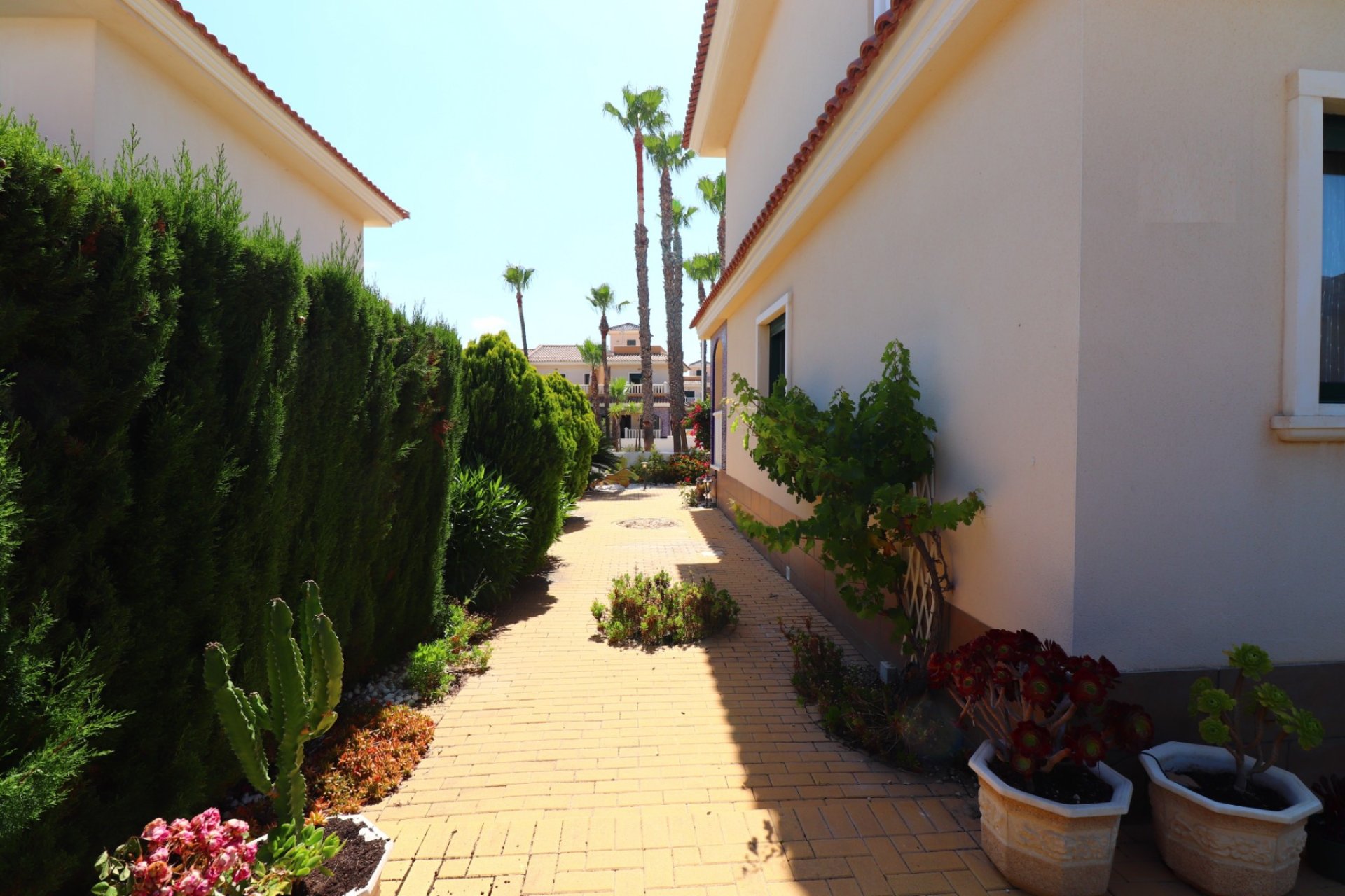 Gensalg - Rækkehus -
Ciudad Quesada - Doña Pepa