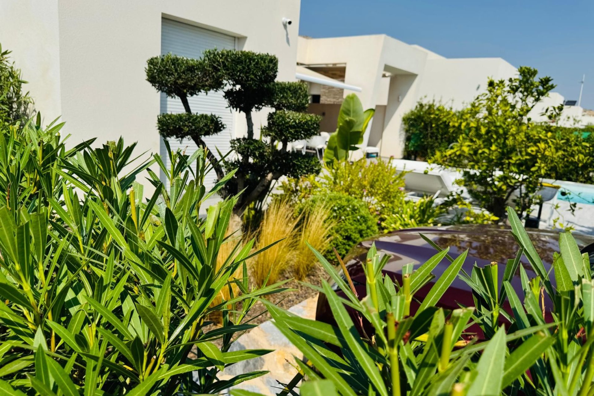 Gensalg - Villa -
Algorfa - La finca Golf