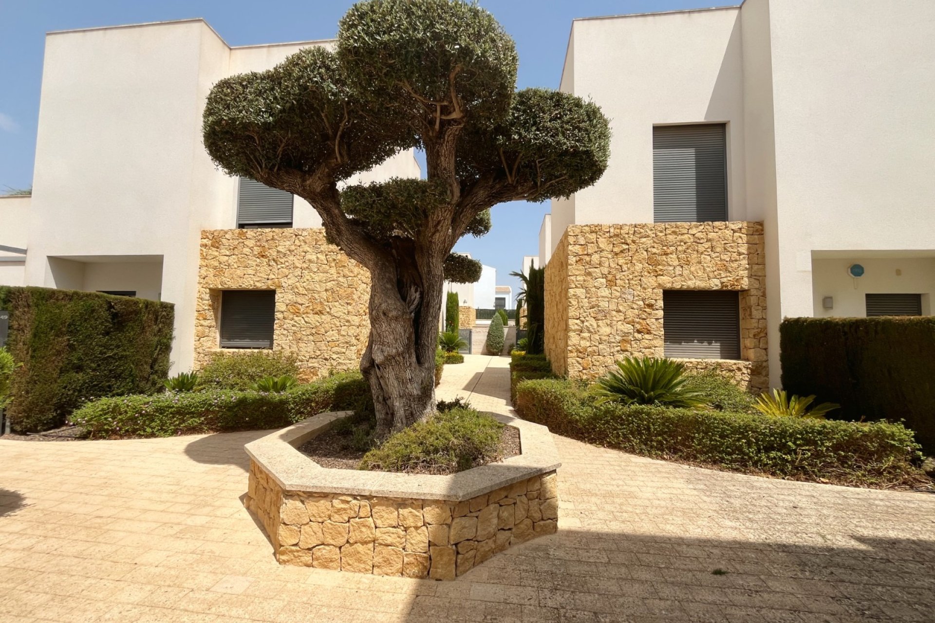 Gensalg - Villa -
Ciudad Quesada - Pueblo Bravo