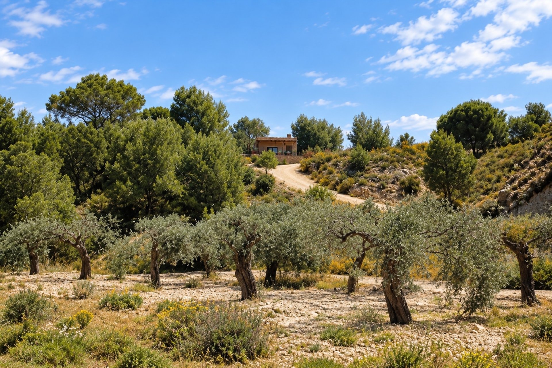 Gensalg - Villa -
Murcia - Costa Blanca