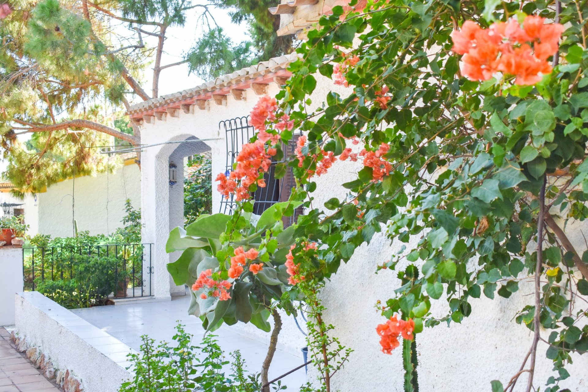 Gensalg - Villa -
Orihuela Costa - Punta Prima