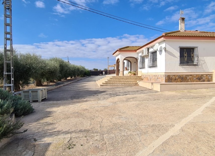 Gensalg - Villa -
Orihuela - La Matanza